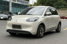 五菱汽车 五菱缤果 2024款 333km 悦享款