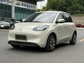 五菱汽车 五菱缤果 2024款 333km 悦享款