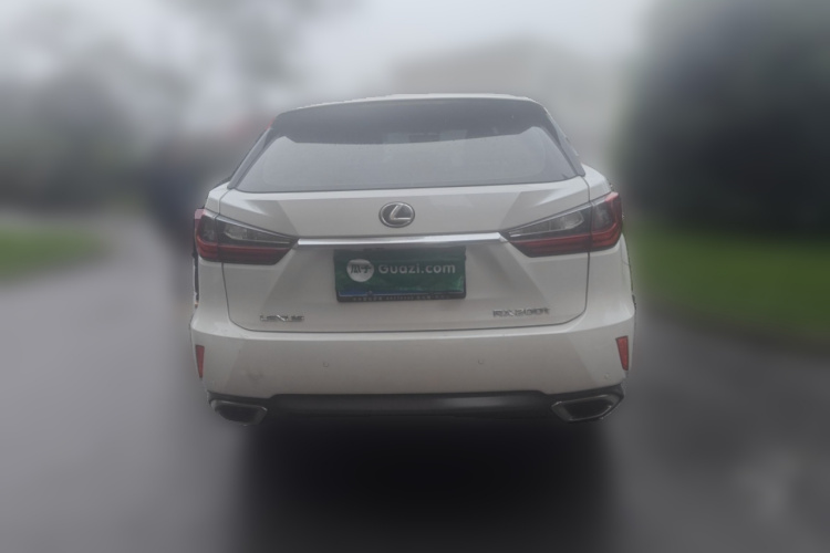 雷克萨斯RX 2016款 300 两驱精英版 国V车身外观6004