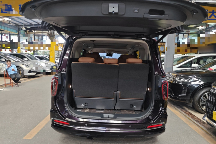 红旗HQ9 2023款 2.0T 智联旗领版局部细节23