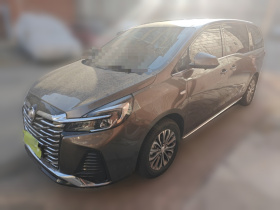 别克GL8 2023款 陆上公务舱 舒适型