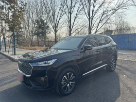 哈弗H6 2021款 第三代 1.5T 自动两驱Max