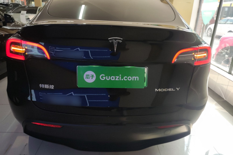 特斯拉 Model Y 2021款 长续航全轮驱动版 3D7车身外观6