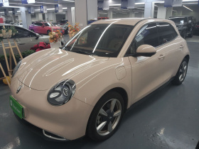 欧拉好猫 2023款 501km长续航 豪华型 三元锂