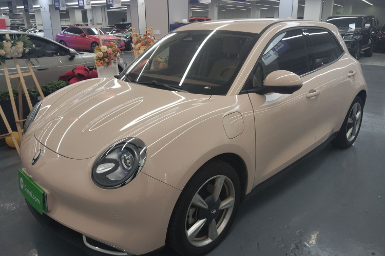 欧拉好猫 2023款 501km长续航 豪华型 三元锂车身外观1