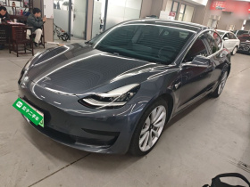 特斯拉 Model 3 2019款 标准续航后驱升级版