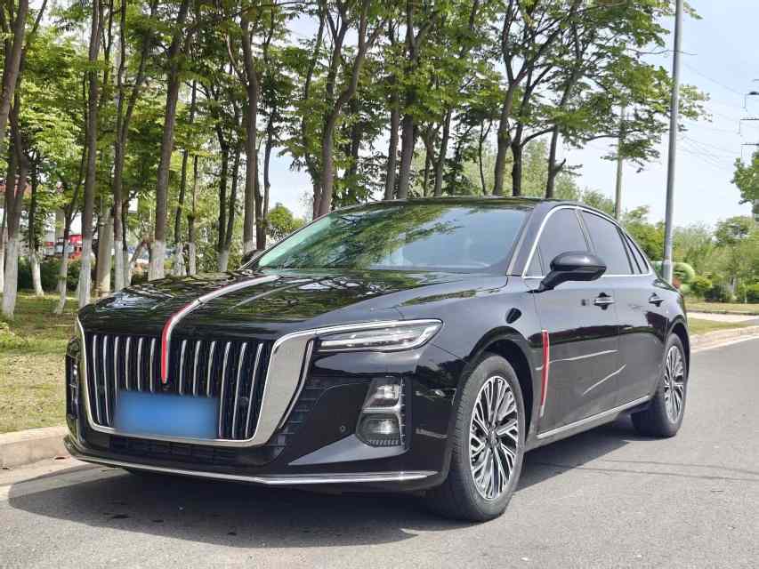 红旗H5 2024款 2.0T 自动智联旗畅版(1)