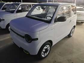 吉利银河 熊猫 2025款 210km 元气熊