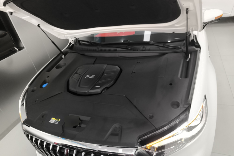 红旗HS5 2019款 2.0T 智联旗享四驱版局部细节24