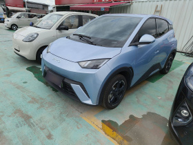 比亚迪 海鸥 2024款 荣耀版 305km 自由版