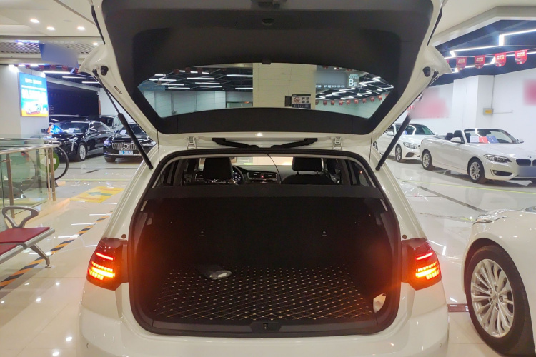 大众 高尔夫 2020款 挚爱版 280TSI DSG豪华型机舱底盘23