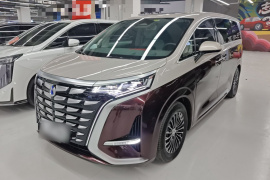 腾势D9 2022款 DM-i 970 四驱旗舰型