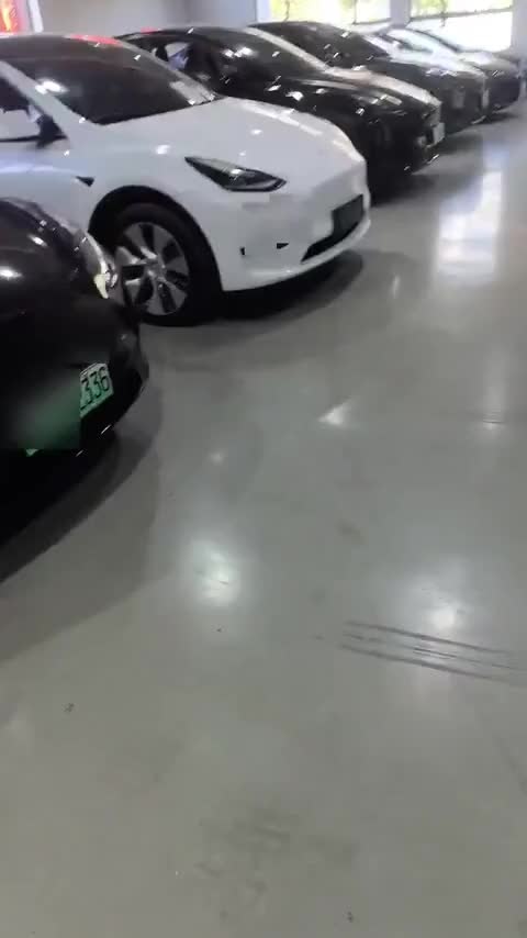 特斯拉 Model 3(进口) 2019款 长续航全轮驱动版讲解1