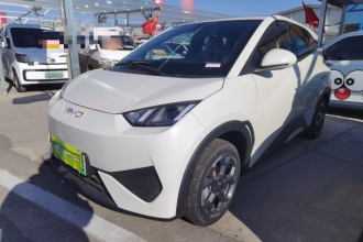 比亚迪 海鸥 2025款 智驾版 405km 自在版