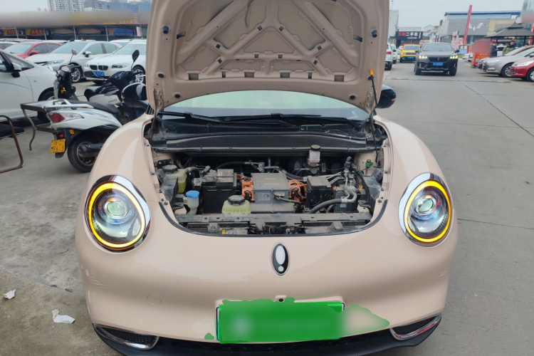 欧拉好猫 2022款 400km标准续航 豪华型 磷酸铁锂机舱底盘24