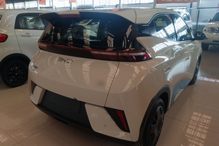 比亚迪 海鸥 2025款 智驾版 305km 活力版车身外观7