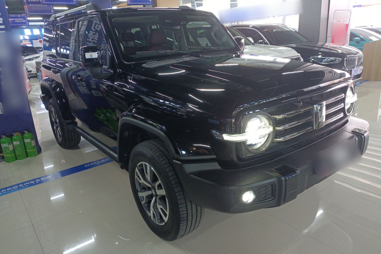 坦克300 2024款 2.0T 穿越者车身外观3