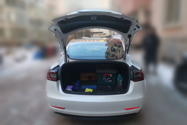 特斯拉 Model 3 2020款 改款 标准续航后驱升级版中控内饰23