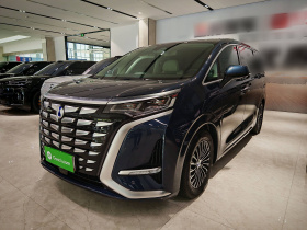 腾势D9 2024款 DM-i 980 四驱尊荣型