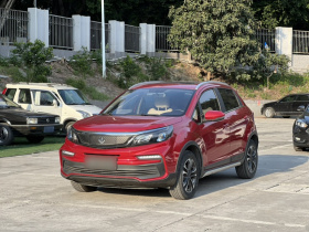 睿蓝汽车 枫叶30X 2020款 风尚版