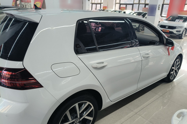 大众 高尔夫 2020款 挚爱版 280TSI DSG豪华型车身外观6002
