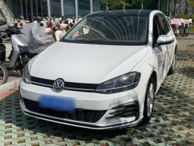 大众 高尔夫 2018款 1.6L 自动时尚型