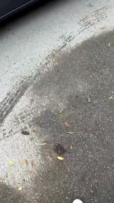 奔驰GLC 2023款 GLC 300 L 4MATIC 动感型 5座讲解2