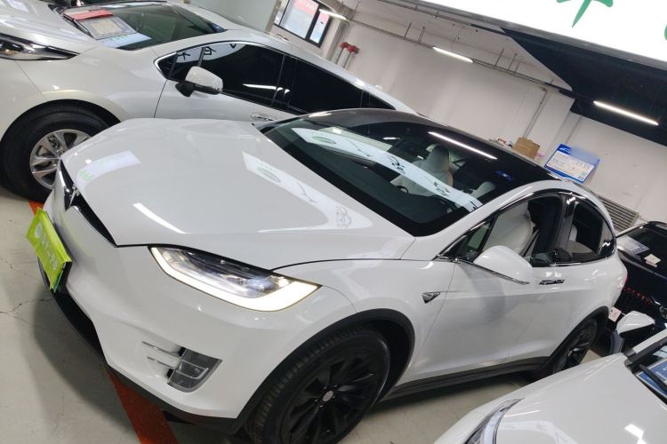 特斯拉 Model X 2019款 长续航版车身外观4