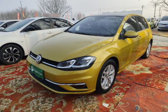 大众 高尔夫 2018款 230TSI 自动舒适型