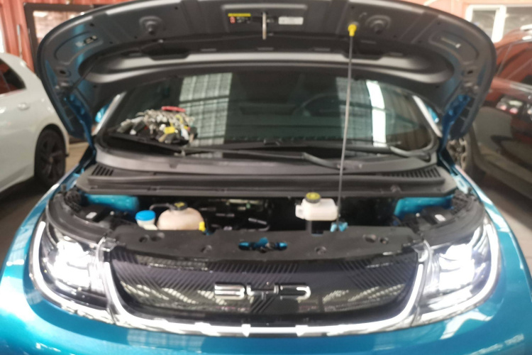 比亚迪 海豚 2021款 401km 骑士版机舱底盘24