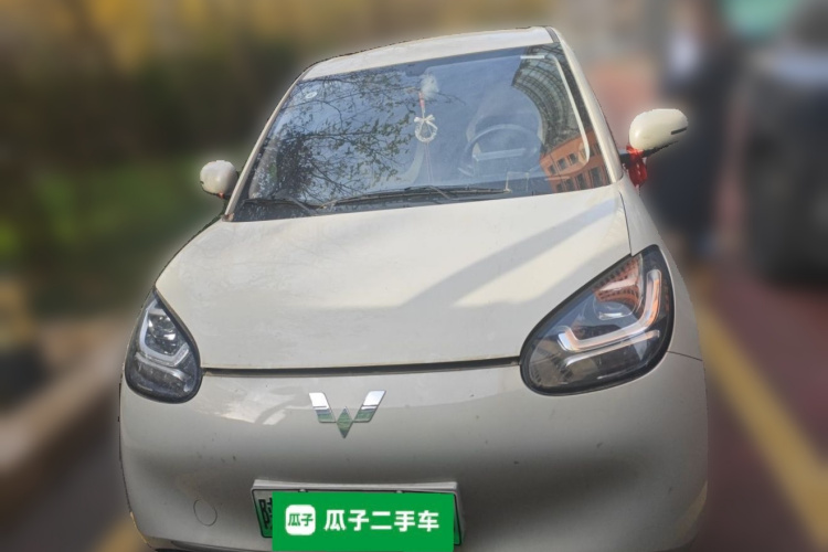 五菱汽车 五菱缤果 2023款 333km 快享款车身外观6001
