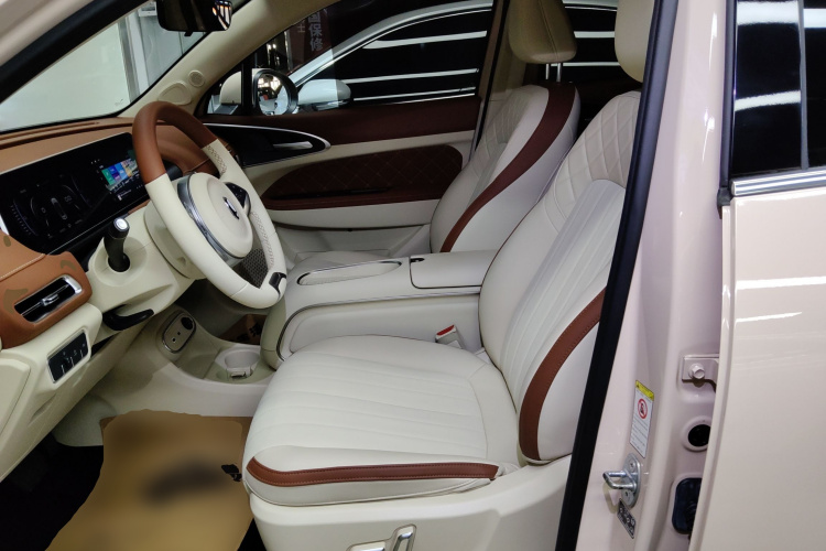 欧拉好猫 2022款 400km标准续航 豪华型 磷酸铁锂中控内饰19