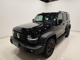 坦克300 2024款 2.0T 征服者