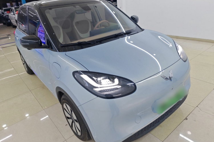 五菱汽车 五菱缤果 2024款 410km 灵犀尊享款车身外观6002