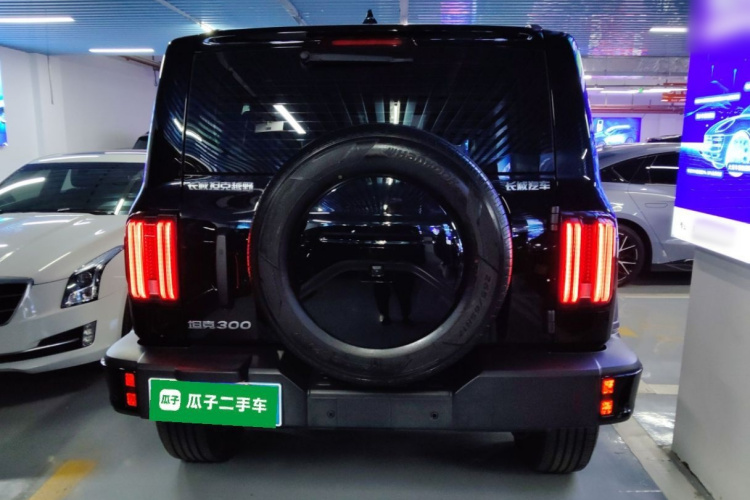 坦克300 2024款 2.0T 征服者车身外观6