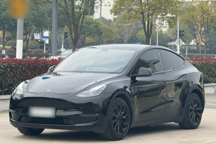 特斯拉 Model Y 2021款 标准续航后驱版车身外观6007