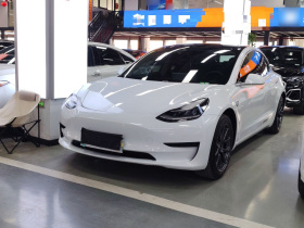 特斯拉 Model 3 2019款 标准续航后驱升级版