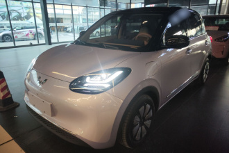 五菱汽车 五菱缤果 2025款 410km 灵犀尊享款