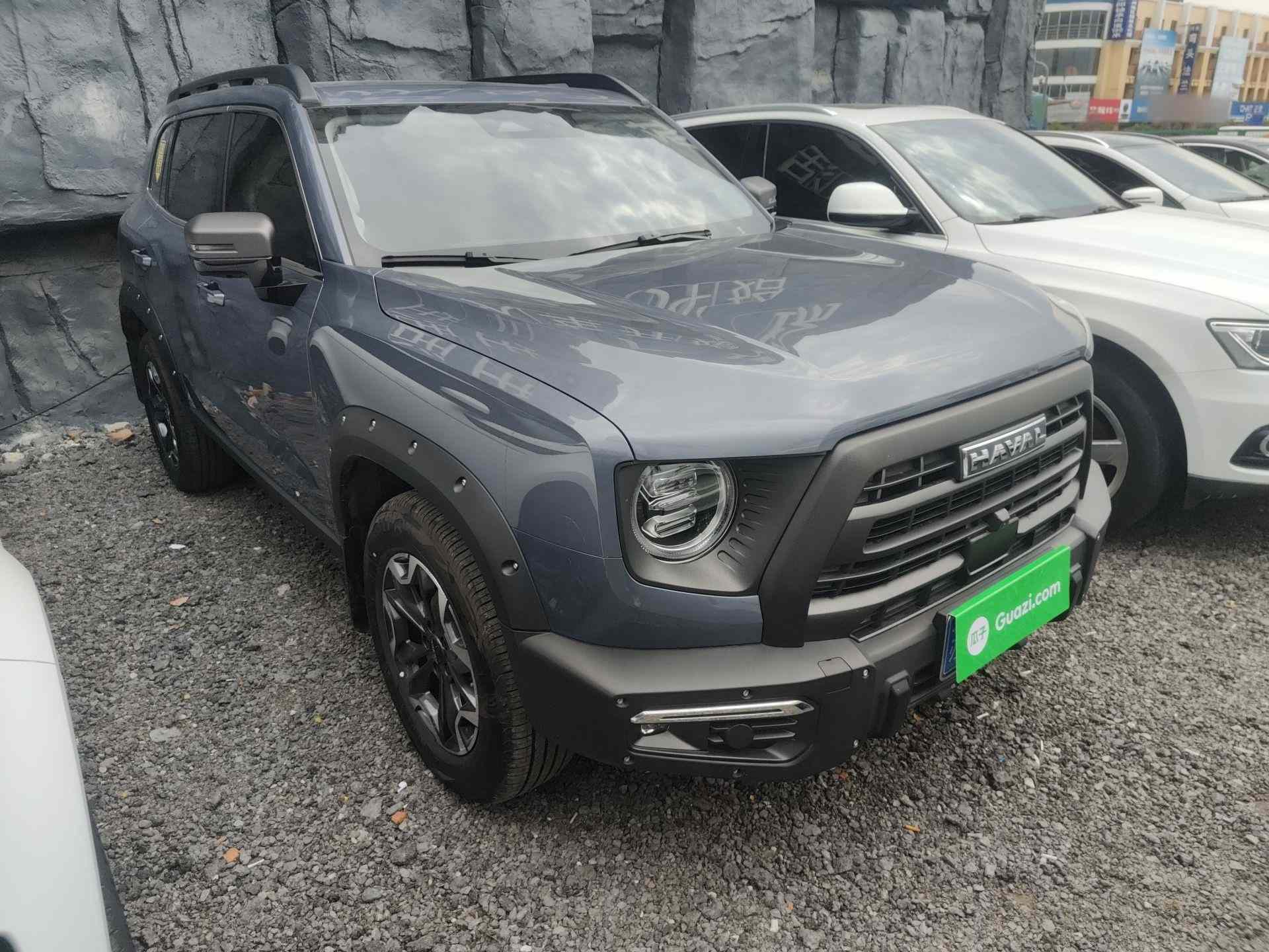 哈弗大狗 2024款 2.0T DCT中华田园犬版(5)