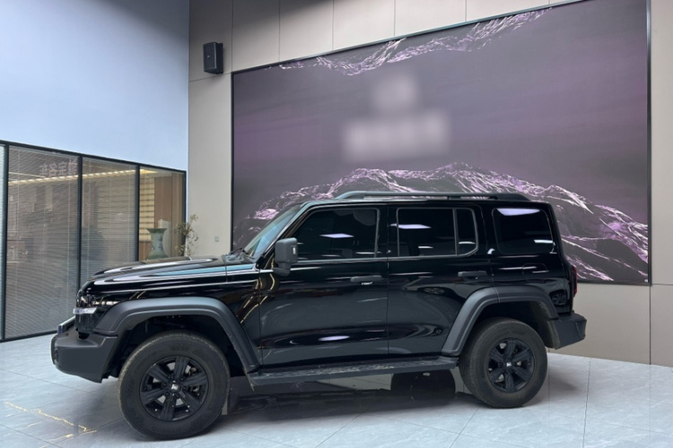 坦克300 2024款 2.0T 征服者车身外观6006