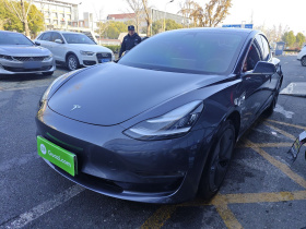 特斯拉 Model 3(进口) 2019款 长续航全轮驱动版