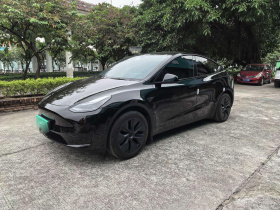 特斯拉 Model Y 2023款 后轮驱动版