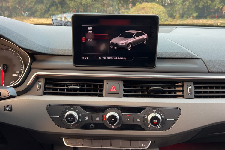 奥迪A4L 2017款 Plus 40 TFSI 进取型局部细节16