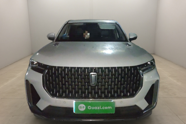 奔腾T99 2020款 20TD 自动尊享型车身外观2