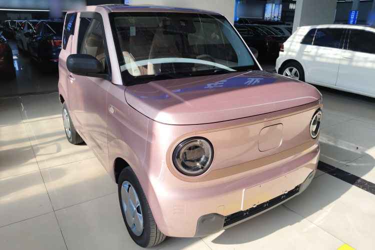 吉利银河 2023款 熊猫mini 200km 耐力熊车身外观6002