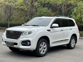 哈弗H9 2017款 2.0T 柴油四驱尊享型 5座