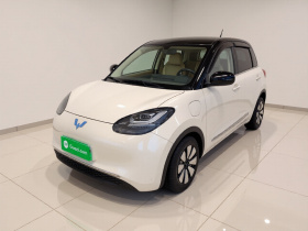 五菱汽车 五菱缤果 2024款 333km 悦享款