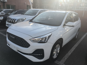 哈弗M6 2019款 1.5T DCT两驱都市型 国VI