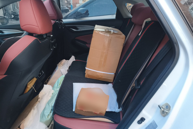 长安 逸动 2022款 PLUS 蓝鲸NE 1.4T GDI DCT尊贵版中控内饰21