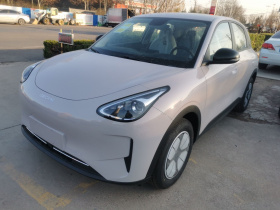 吉利银河 星愿 2026款 310km 青春版